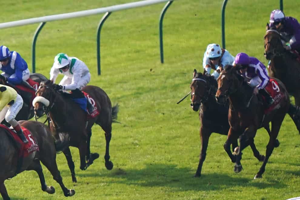 Scriptwriter (purple) in action at Newmarket (PA)