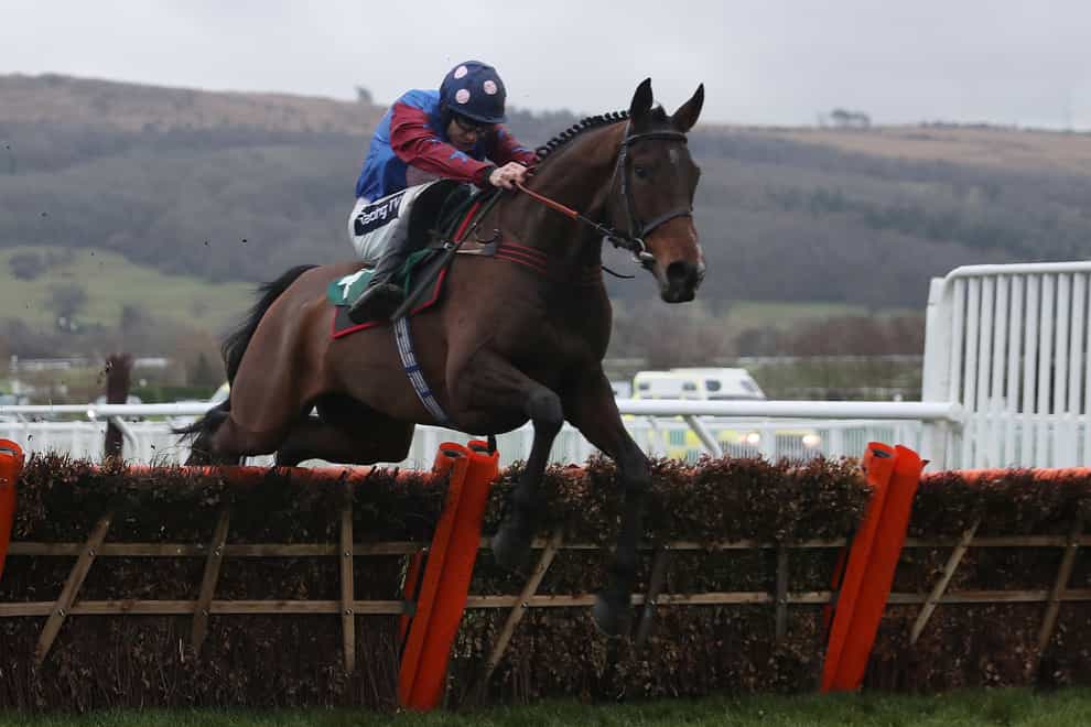 Paisley Park ridden by Aidan Coleman on their way to victory in the galliardhomes.com Cleeve Hurdle during Festival Trials Day at Cheltenham Racecourse (David Davies/PA)