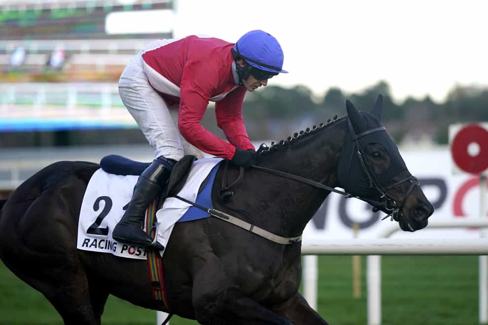 Ferny Hollow ridden by Paul Townend goes on to win The Racing Post Novice Chase during day one of the Leopardstown Christmas Ferstival at Leopardstown Racecourse, Dublin. Picture date: Sunday December 26, 2021.