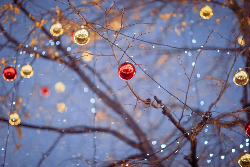 Give your garden festive sparkle by lighting it up in winter (Alamy/PA)