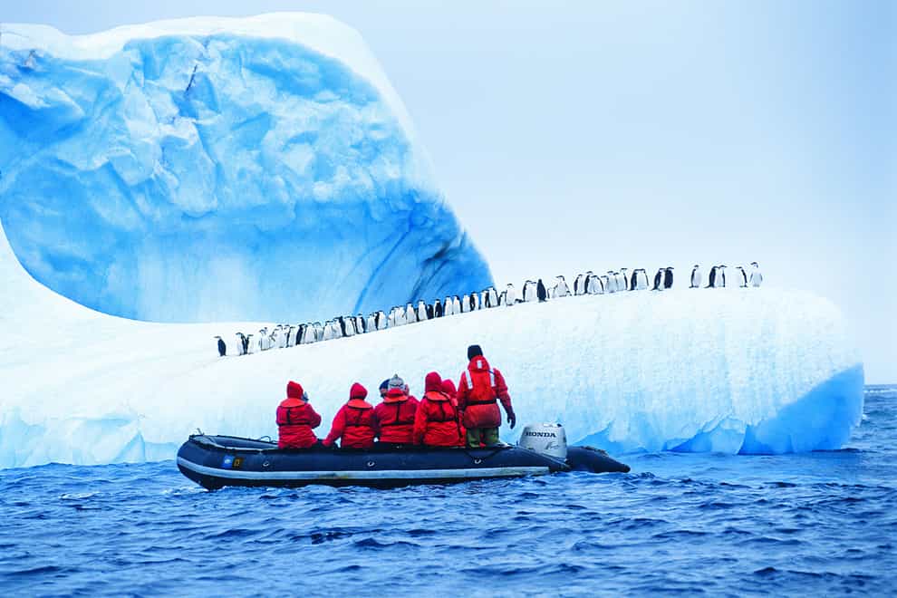 Tourists observe a colony of penguins while exploring Antarctica (Alamy/PA)