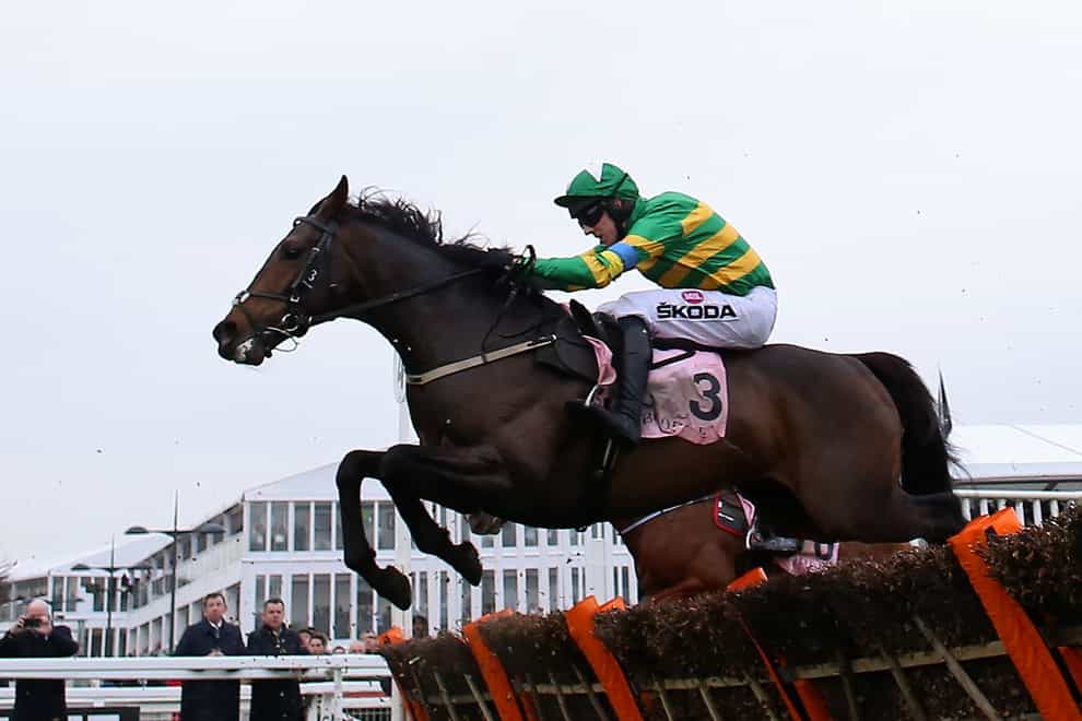 Brazil, here ridden by Mark Walsh on their way to winning the Boodles Juvenile Handicap Hurdle at the Cheltenham Festival, is headed for Limerick at Christmas (Nigel French/PA)