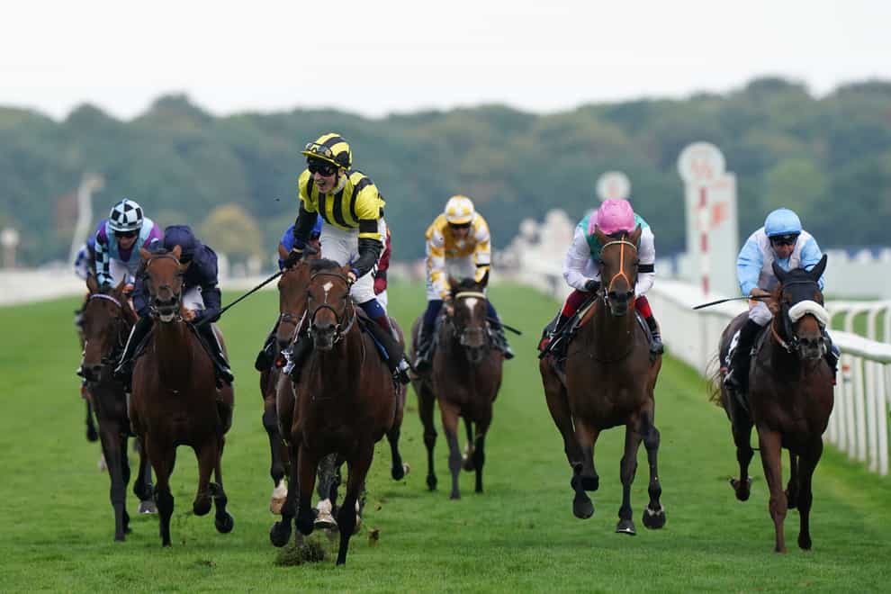 Haskoy (pink hat) hampered Giavellotto (blue) in the St Leger (Tim Goode/PA)