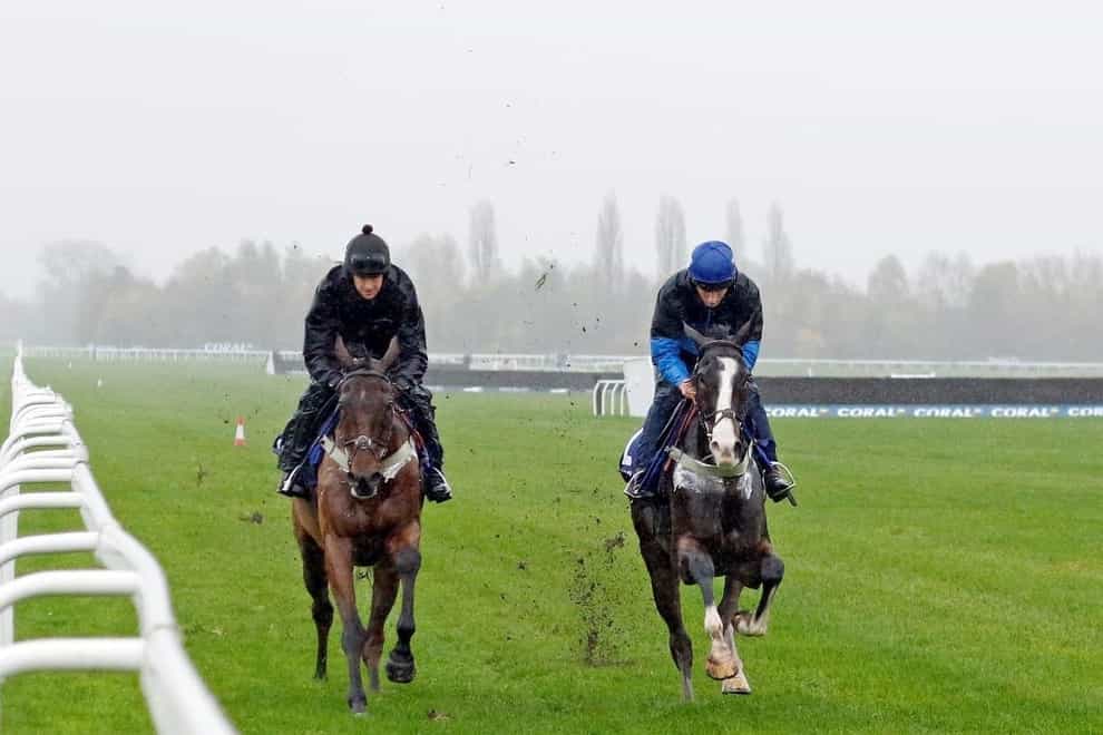Fiddlerontheroof (left) completes a racecourse gallop at Newbury in preparation for his Coral Gold Cup bid later this month (Steven Cargill)
