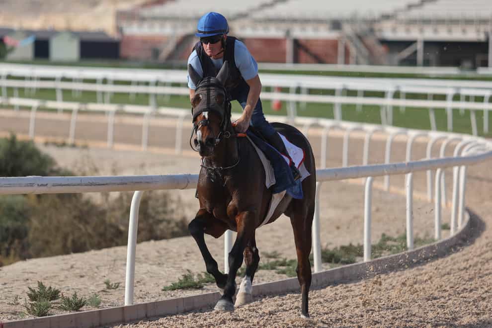 Insinuendo working on the track in Bahrain (Megan Rose Photography)