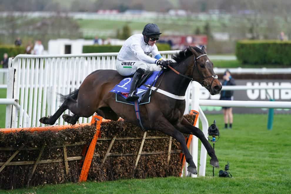 Constitution Hill, here jumping the last in the Supreme Novices’ Hurdle at the Cheltenham Festival, will line up in the Betfair Fighting Fifth Hurdle this weekend (Mike Egerton/PA)