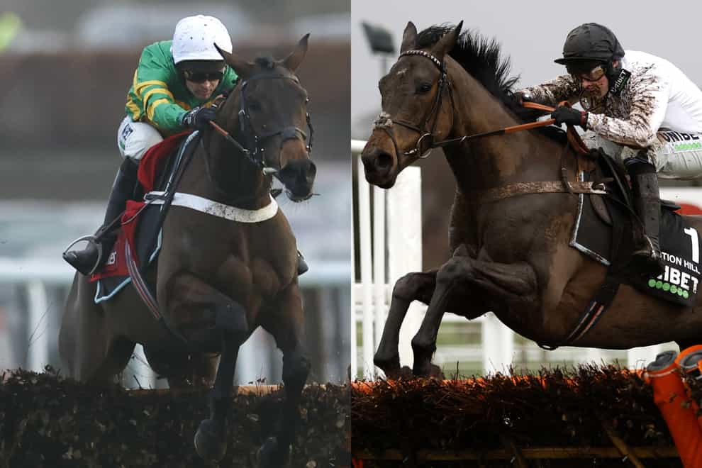 Epatante (left) and Constitution Hill, who will both run in the Fighting Fifth Hurdle at Newcastle (Steven Paston/PA)