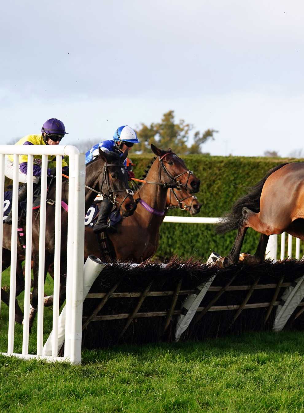 Beau Balko ridden by jockey Harry Cobden clear a fence on their way to winning the Hereford Motor Group Novices’ Hurdle at Hereford racecourse. Picture date: Wednesday November 23, 2022.
