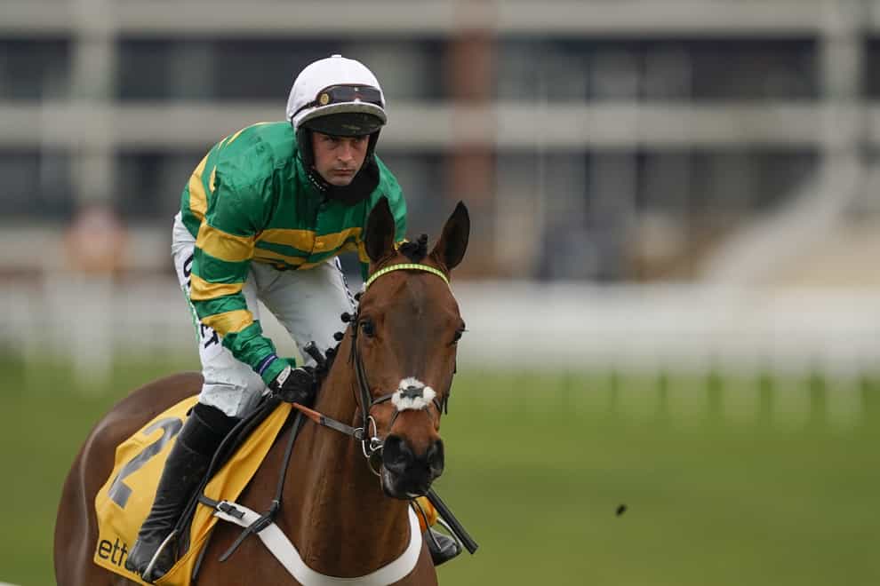Champ ridden by jockey Nico de Boinville prior to the start of The Betfair Game Spirit Chase at Newbury racecourse. Picture date: Sunday February 21, 2021 (Alan Crowhurst/PA)