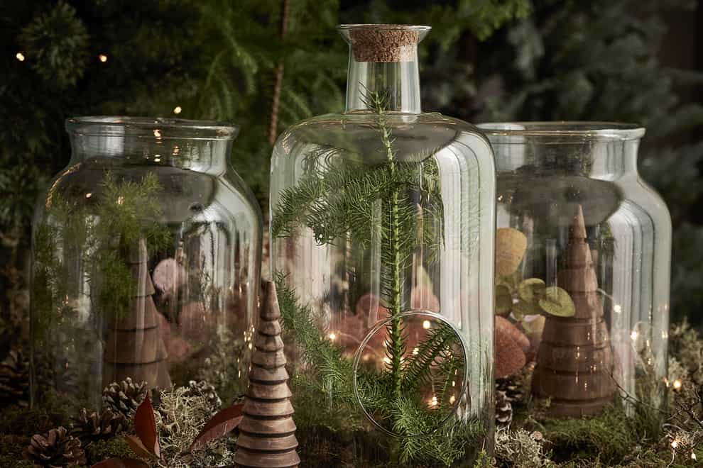 How to create a festive terrarium (Dobbies Garden Centres/PA)