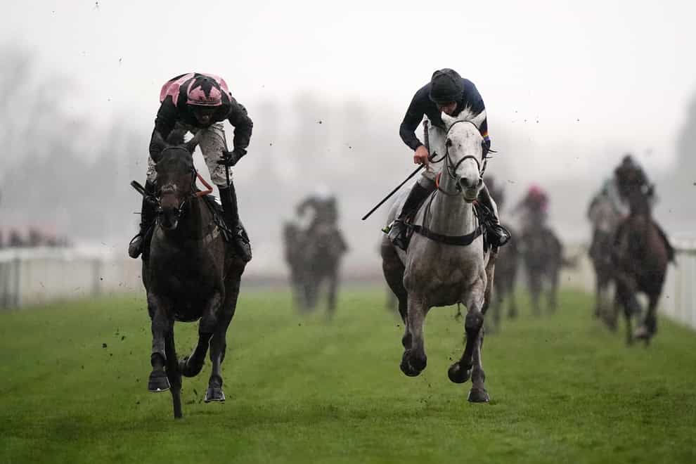 Hill Sixteen (left) just lost out to Snow Leopardess 12 months ago (Tim Goode/PA)