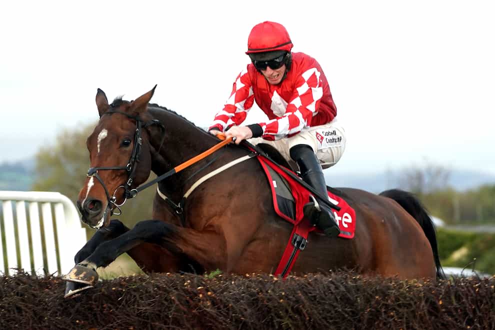 Mighty Potter in action at Down Royal (Brian Lawless/PA)