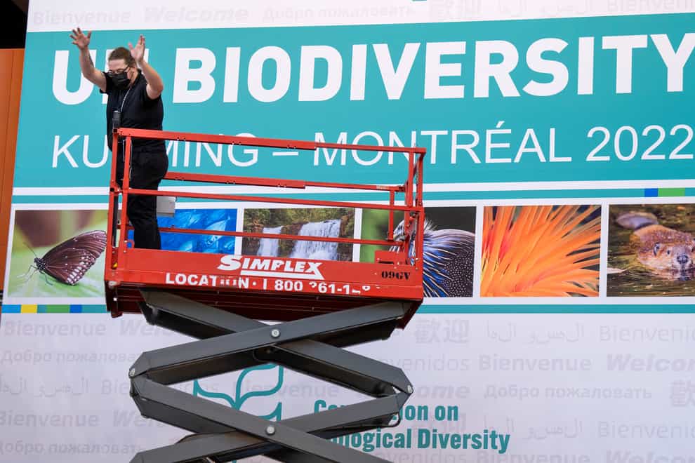 Workers set up the Montreal Convention Centre in preparation for the Cop15 UN conference on biodiversity in Montreal (Paul Chiasson/The Canadian Press via AP)