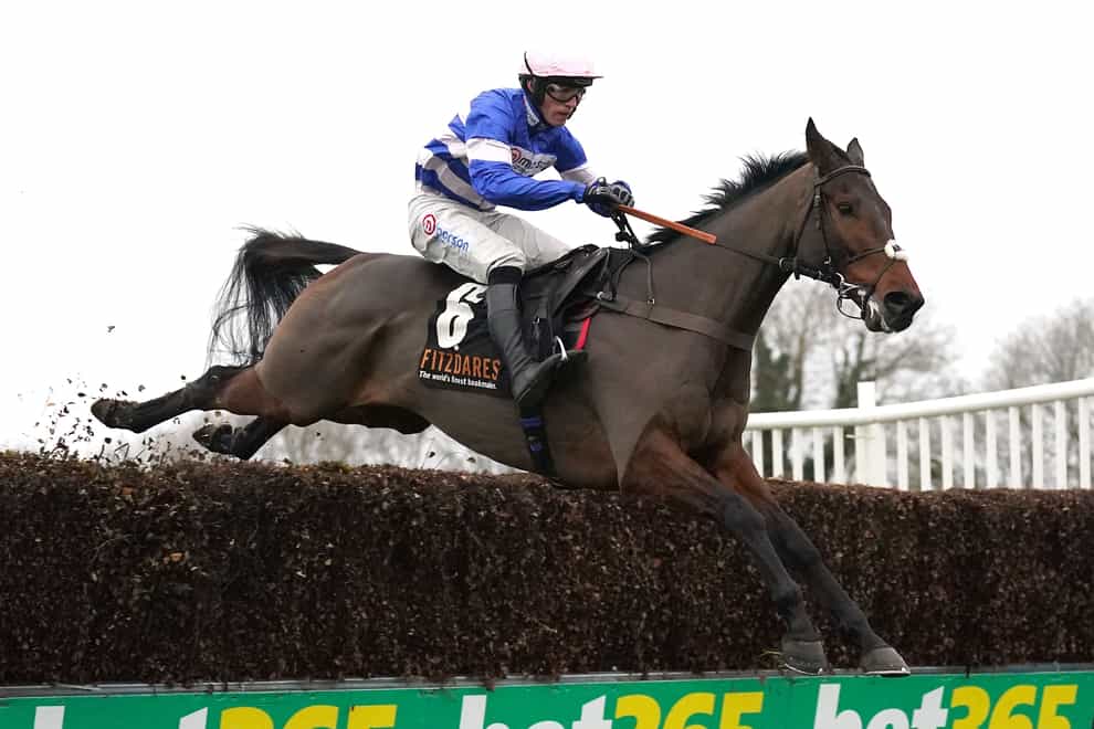 Pic D’Orhy on his way to Huntingdon success (Tim Goode/PA)