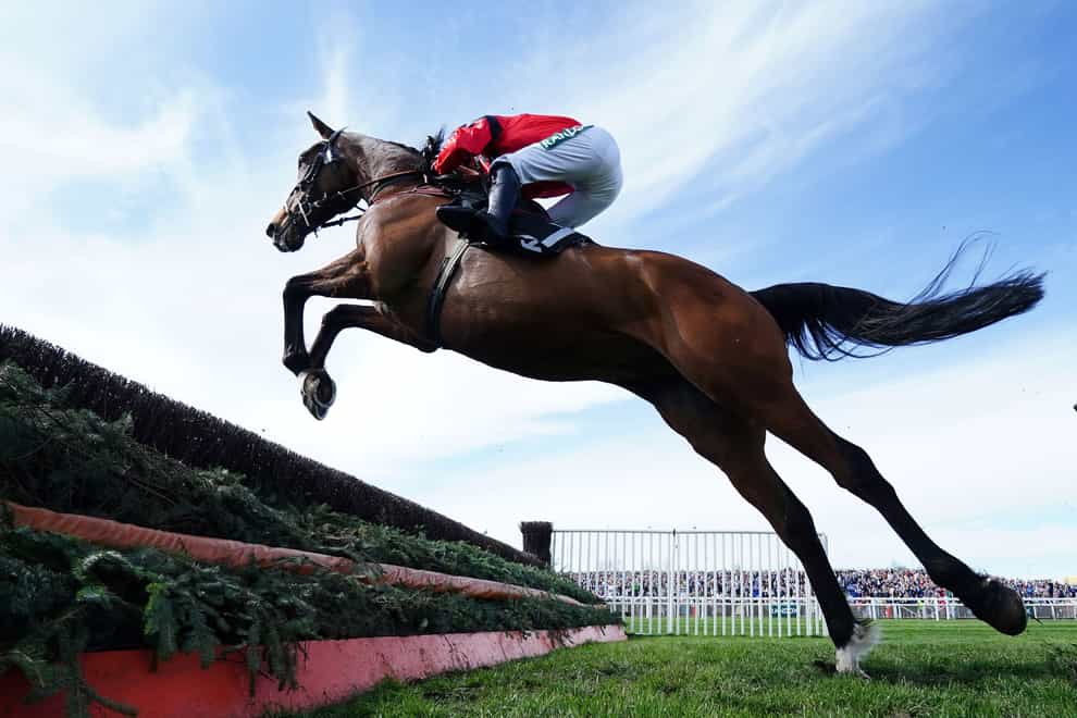 Ahoy Senor will head to Wetherby on Boxing Day (Mike Egerton/PA)