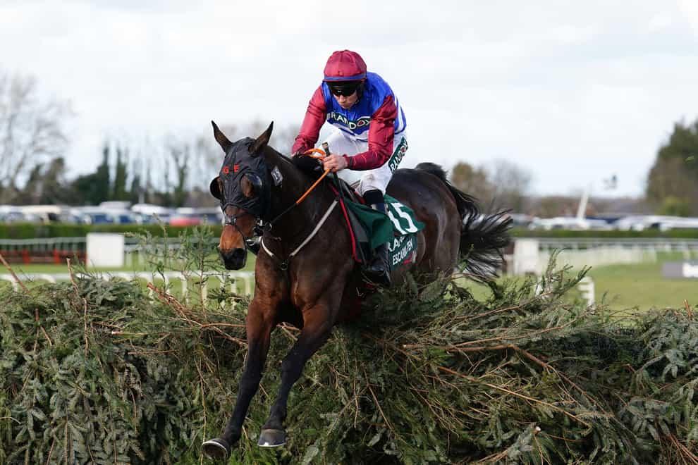 Escaria Ten, here ridden by A P Heskin during the Randox Grand National, could head to either the Thyestes Chase or the Coral Welsh National following his reappearance at Thurles (Mike Egerton/PA)