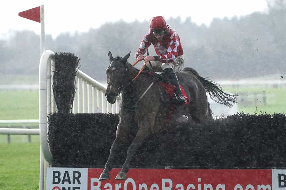 Mighty Potter on his way to winning the Drinmore Novice Chase at Fairyhouse (Brian Lawless/PA)