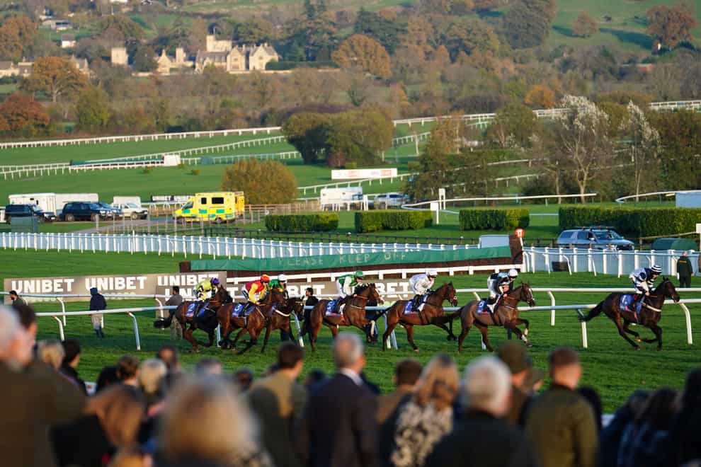 Cheltenham’s Friday meeting survived two inspections (David Davies/PA)
