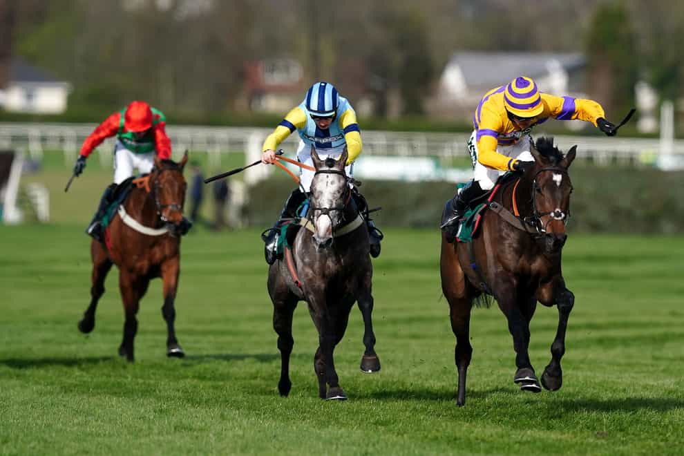 Gentleman At Arms (grey) just lost out to Gelino Bello at Aintree (David Davies/PA)