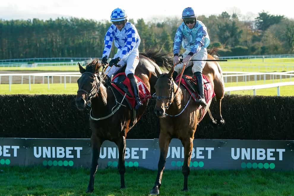 Darrens Hope (left) won the Florida Pearl at Punchestown (Brian Lawless/PA)