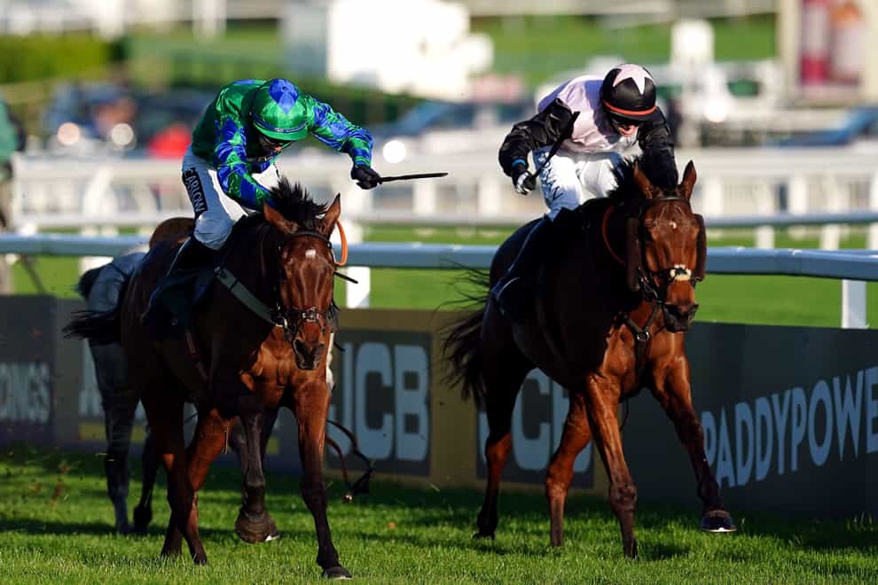 French Dynamite (right) in the Paddy Power Gold Cup Handicap Chase on day two of The November Meeting at Cheltenham Racecourse (David Davies/PA)