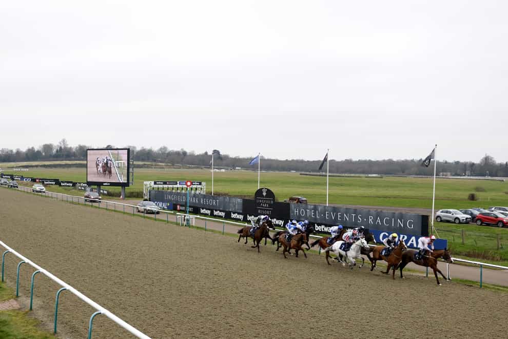 Runners and riders during The Betway Handicap during day two of The Winter Million Festival at Lingfield Park Racecourse, Surrey. Picture date: Saturday January 22, 2022.