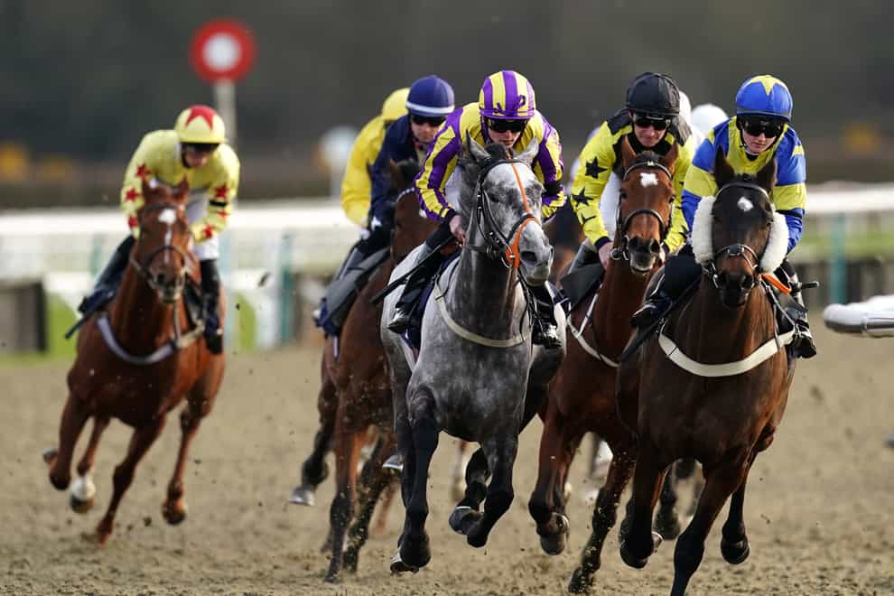 Runners and riders in the Play 4 To Score At Betway Handicap at Lingfield Park Racecourse, Surrey. Picture date: Friday January 28, 2022.