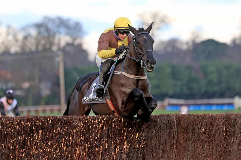 Galopin Des Champs impressed in the Durkan (PA)