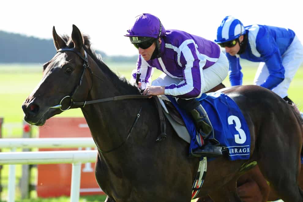 High Definition is set to make his debut for Joseph O’Brien in the All About Sunday Maiden Hurdle at Leopardstown on Boxing Day (PA)