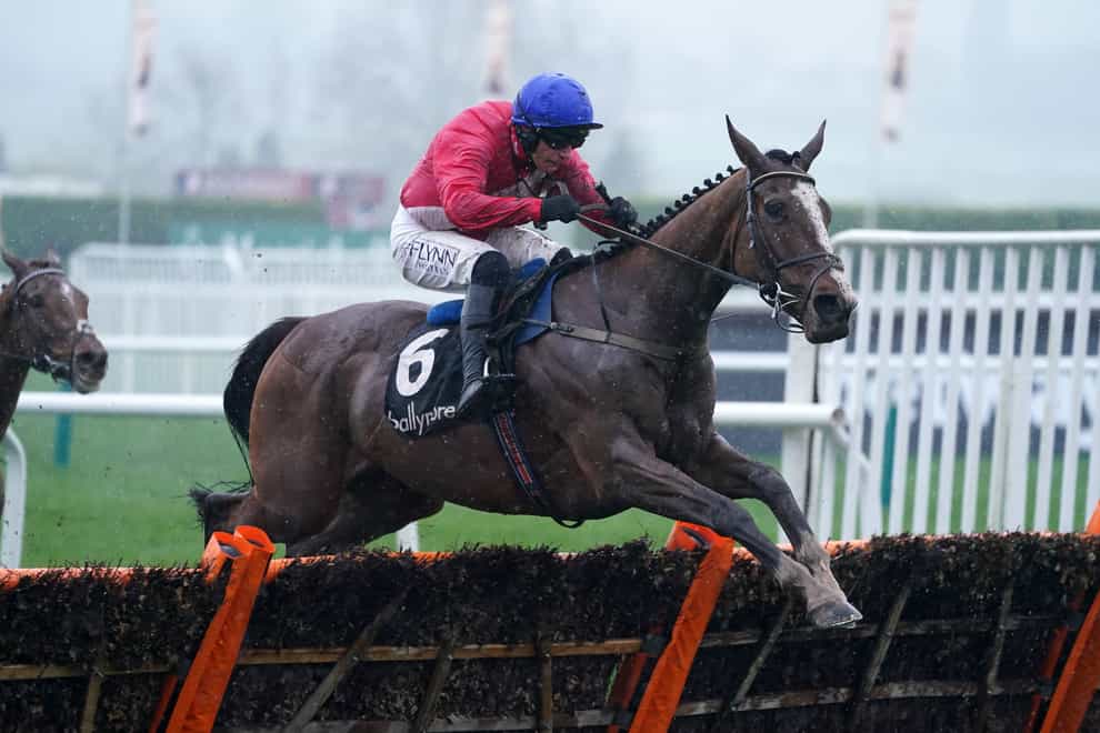 Sir Gerhard on his way to winning the Ballymore Novices’ Hurdle at Cheltenham (Mike Egerton/PA)