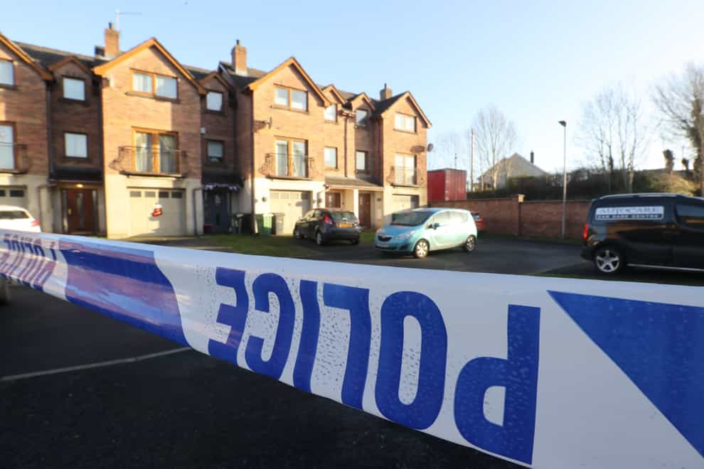 Police were called to a property in the Silverwood Green area of Lurgan (PA)