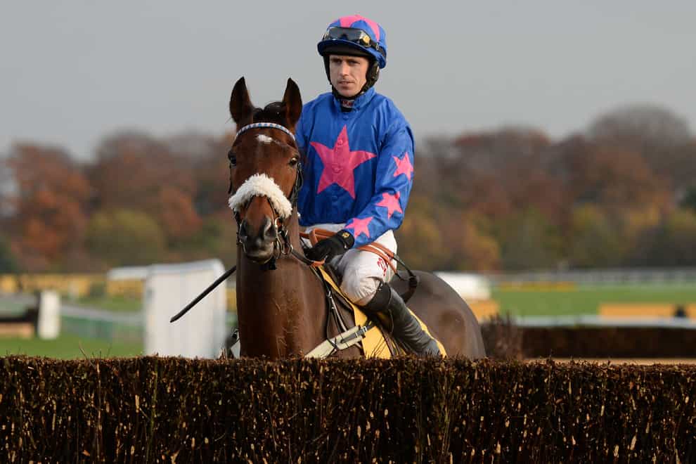 Cue Card was a multiple Grade One winner (Anna Gowthorpe/PA)