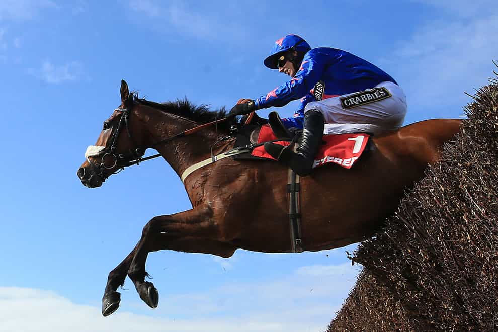 Cue Card in action at Aintree (Mike Egerton/PA)