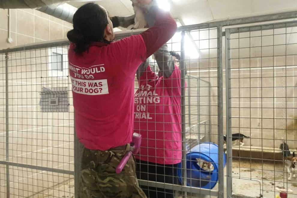 Activists during their break-in on Tuesday at a research facility, MBR Acres in Wyton (Animal Rebellion/PA)