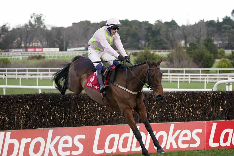 Chacun Pour Soi winning at Leopardstown (Niall Carson/PA)