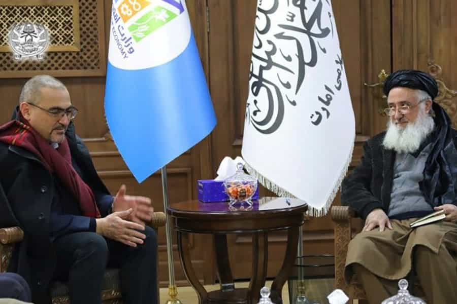 The acting head of the UN Mission in Afghanistan, Ramiz Alakbarov, meets with the Taliban government’s economy minister Qari Din Mohammed Hanif in the Afghan capita, Kabul (Abdul Rahman Habib/Economy Ministry spokesman via AP)