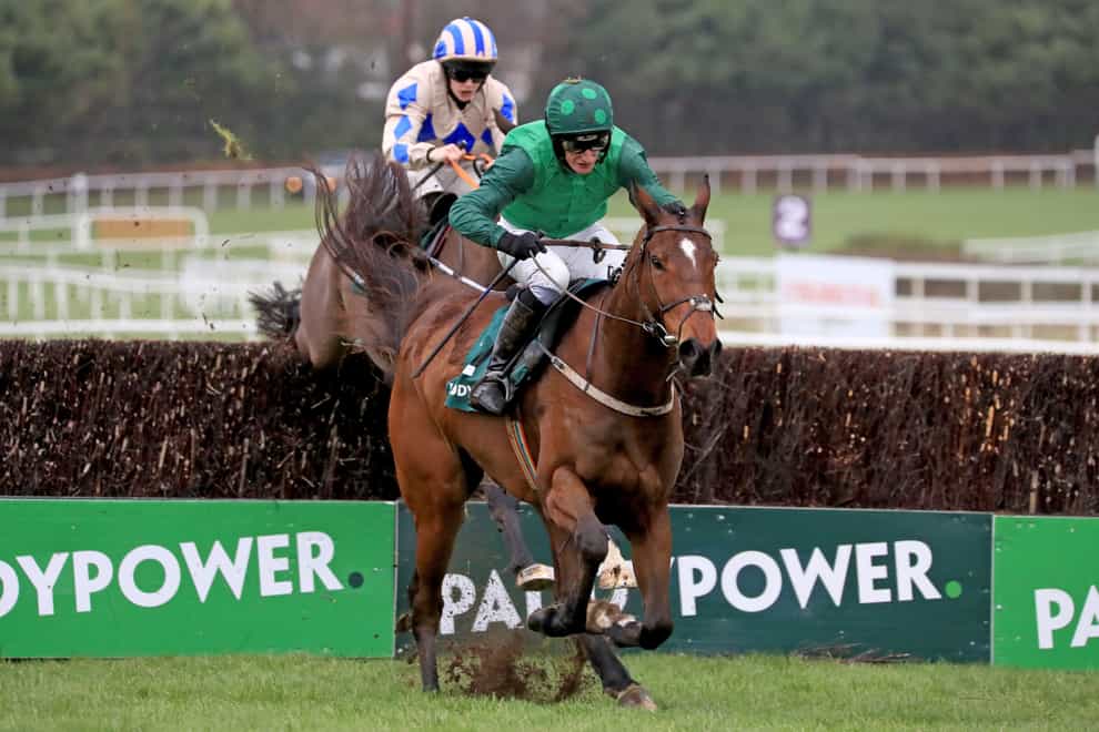 Blue Lord clears the final fence at Leopardstown (Donall Farmer/PA)