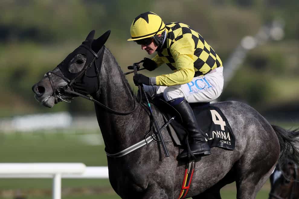 Gaillard Du Mesnil is bidding for a first win over fences in the Neville Hotels Novice Chase at Leopardstown (Brian Lawless/PA)