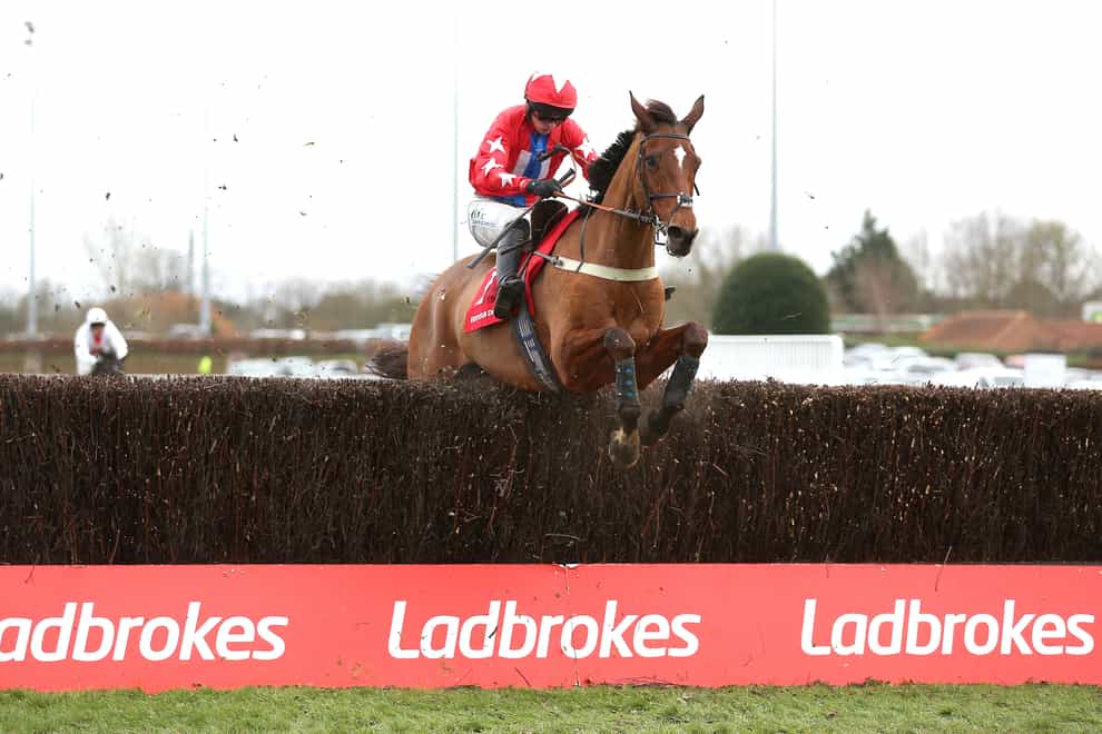 Editeur Du Gite could skip the Champion Chase and wait for the Celebration Chase at Sandown (Nigel French/PA)