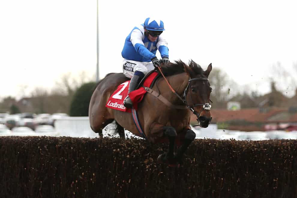Boothill, here winning the Wayward Lad Novices’ Chase at Kempton, will skip the Cheltenham Festival (Nigel French/PA)