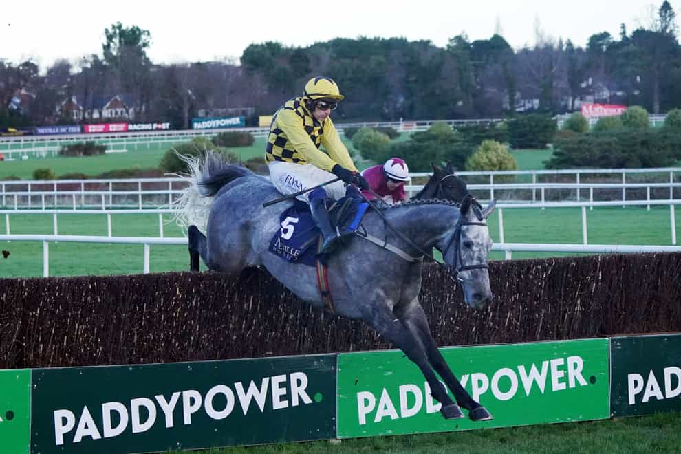 Gaillard Du Mesnil and Paul Townend on their way to victory at Leopardstown (Niall Carson/PA)