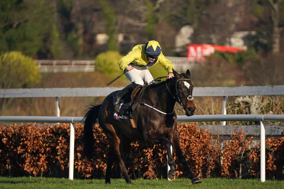 Good Land in the clear at Leopardstown (Niall Carson/PA)