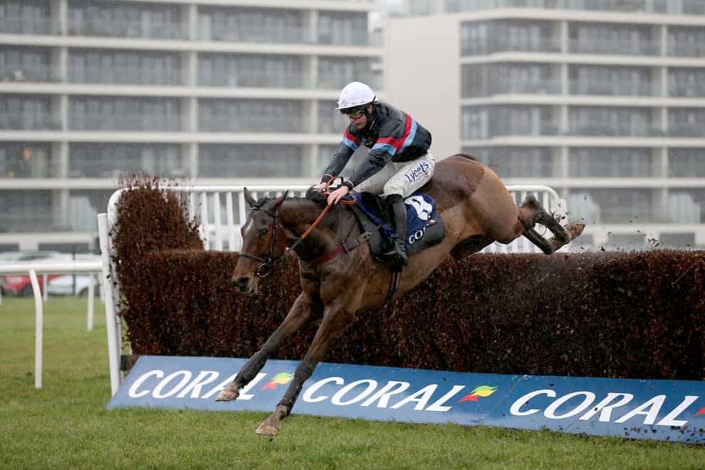 Gamaret wins on his chasing debut (Nigel French/PA)