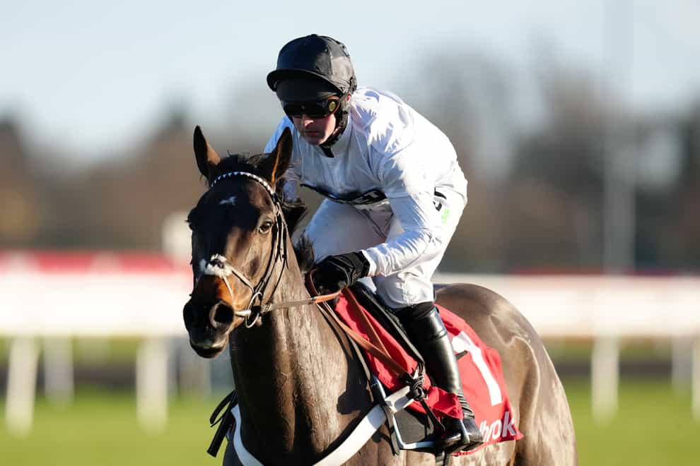 Constitution Hill is set to head straight to Cheltenham (PA)