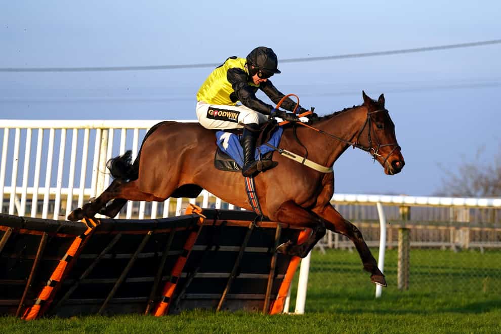 Aucunrisque has translated his good hurdles form to fences (David Davies/PA)