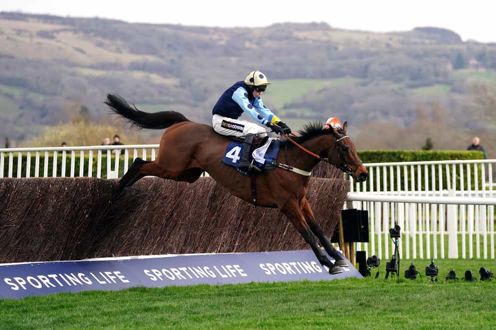 Edwardstone clears the last in the Arkle (David Davies/PA)