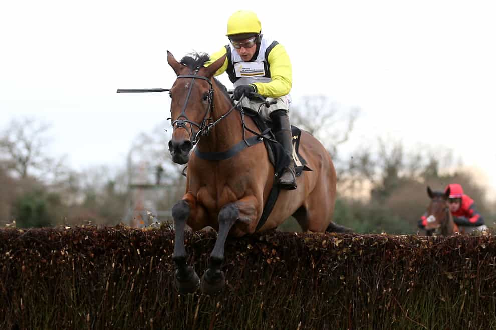 Galia Des Liteaux ridden by Harry Skelton goes on to win The eventmasters.co.uk Hampton Novices’ Chase during the Wigley Group Classic Chase Day at Warwick Racecourse. Picture date: Saturday January 14, 2023.