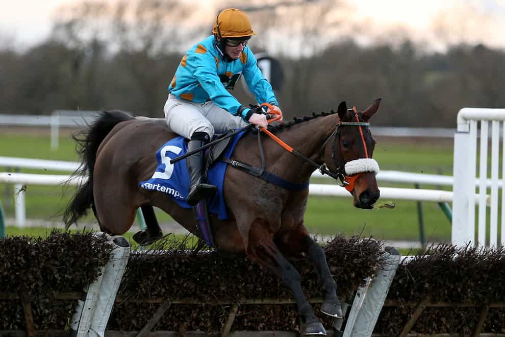 Glimpse Of Gala ridden by Bradley Roberts goes on to win The Pertemps Network Handicap Hurdle during the Wigley Group Classic Chase Day at Warwick Racecourse (Nigel French/PA)