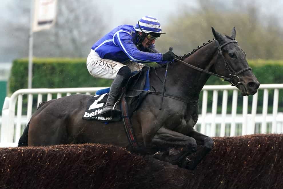 Energumene is favourite for the Clarence House Chase (Mike Egerton/PA)