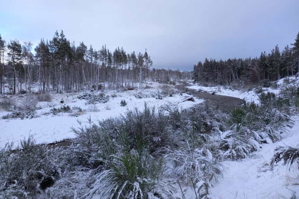 Snow covered woodlands in Aviemore (Lauren Gilmour/PA)